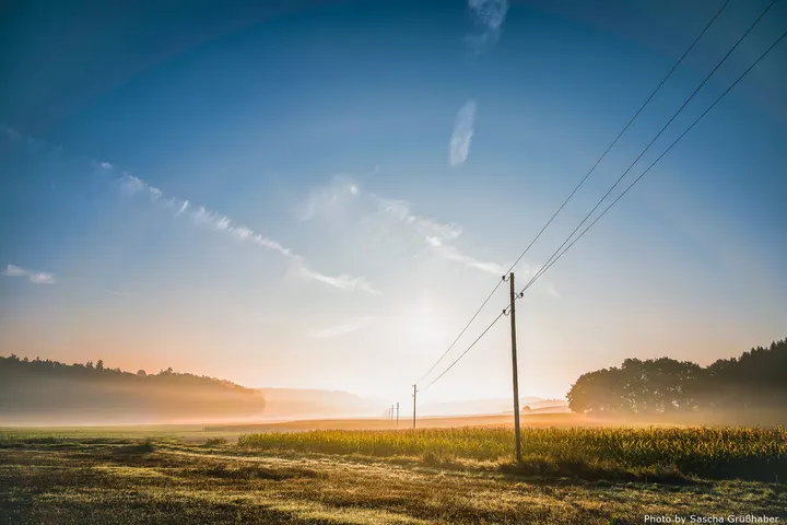 Morning mist over a field with a power pole